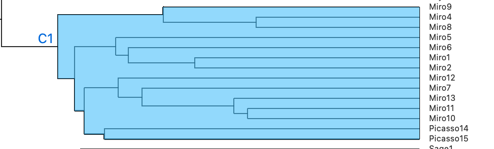 hierarchy11